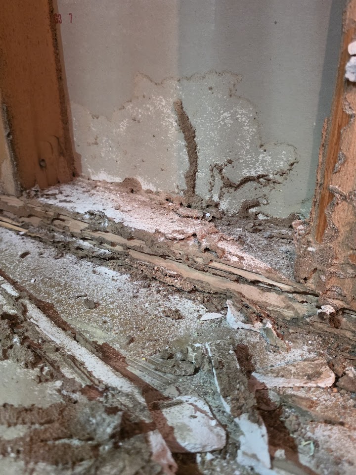 Budget Pest Control Inc. project